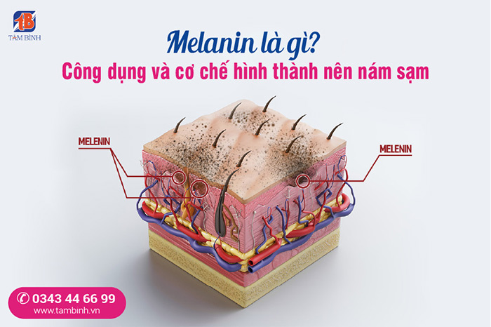 TÀN NHANG LÀ GÌ? NHỮNG ĐIỀU CẦN BIẾT VỀ TÀN NHANG