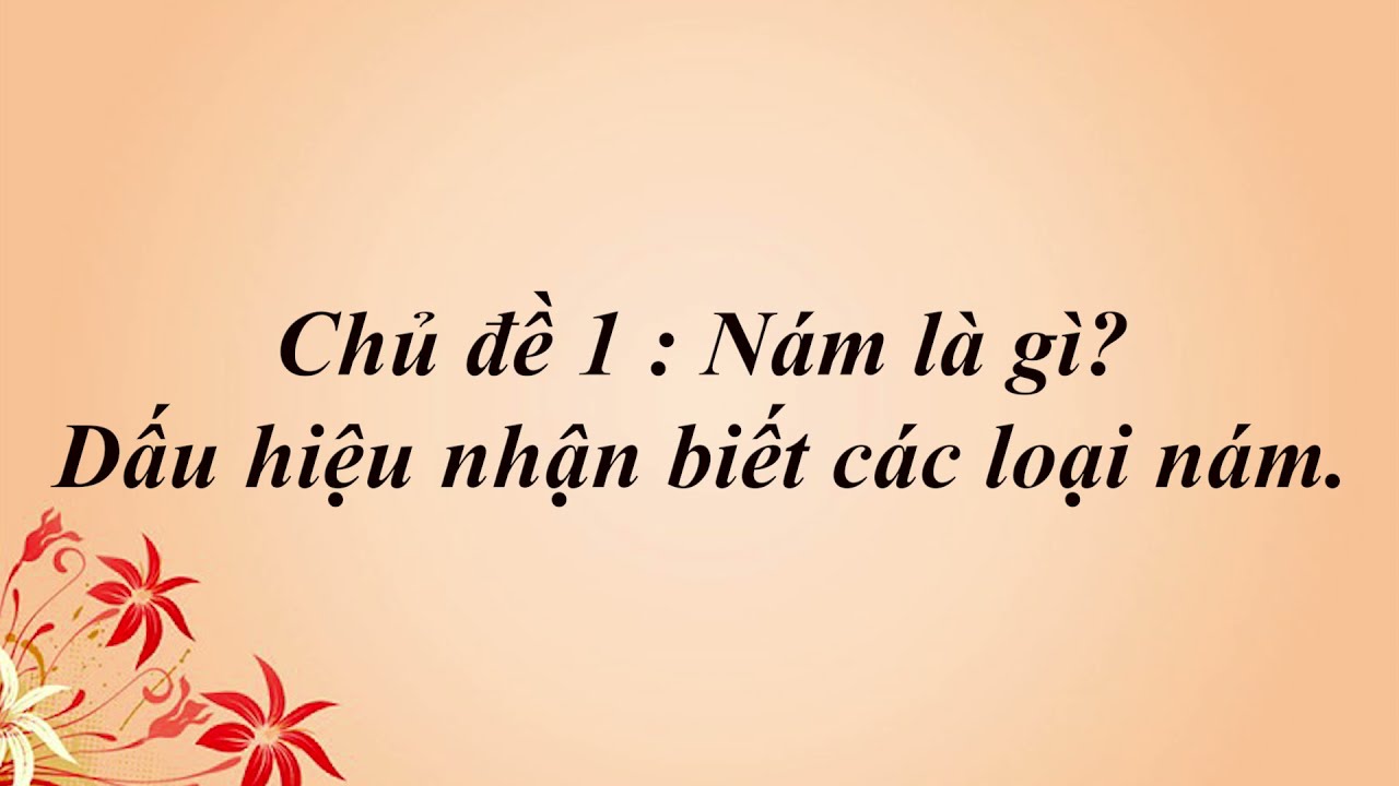 Cách phân biệt các loại nám